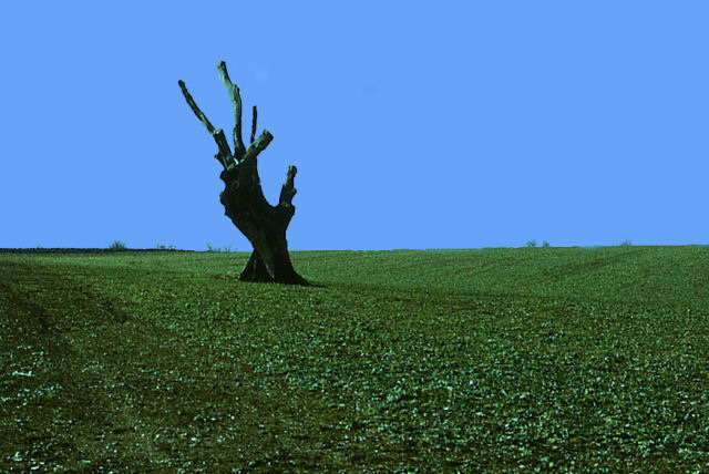 Reaching out
