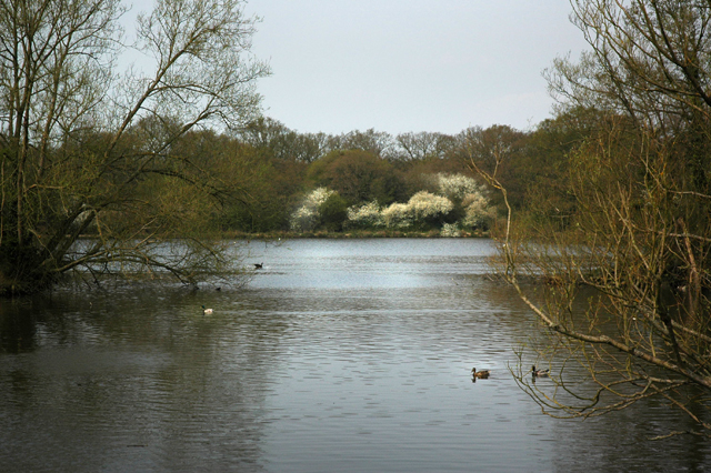 landscape out take