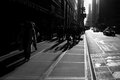 Day of the Long Shadows