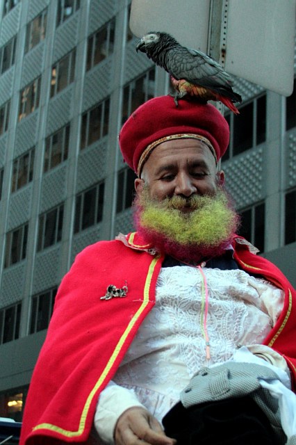 Colorful Fella Returns!