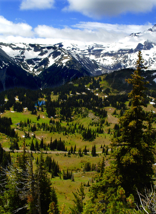 Valley at Mt. Ranier