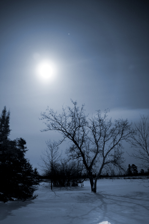 Minnesota Night
