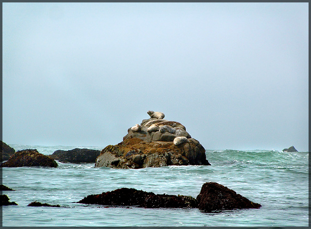 Pacific Ocean