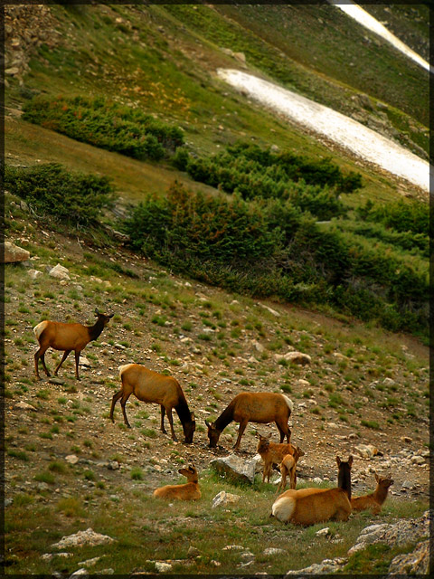 Rocky Mountain National Park