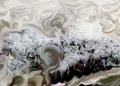 Ice in the morning.jpg