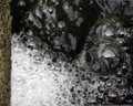 Bubbles-on-the-Water.jpg