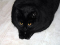June-Bug Day 10.jpg