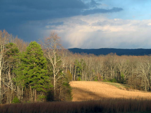 winter view of storm over field.jpg