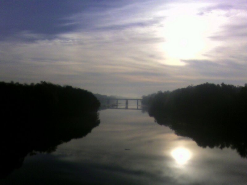 carolina morning