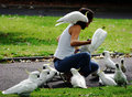 parrotlady.jpg