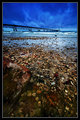 The Cold Shore