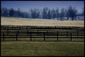 Fences