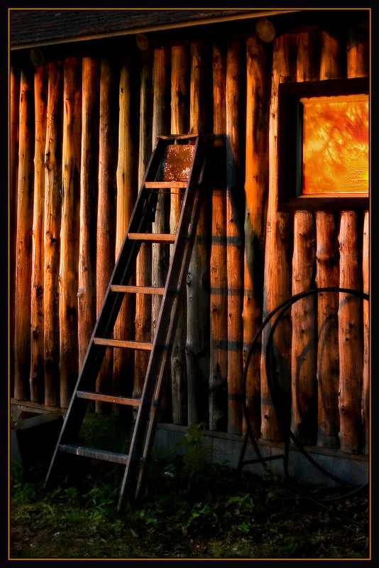 Boathouse Ladder