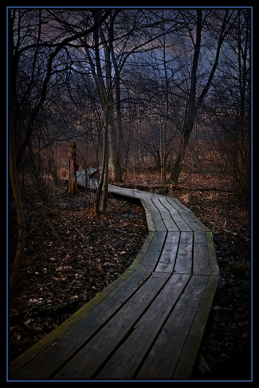 A Boardwalk In Troy