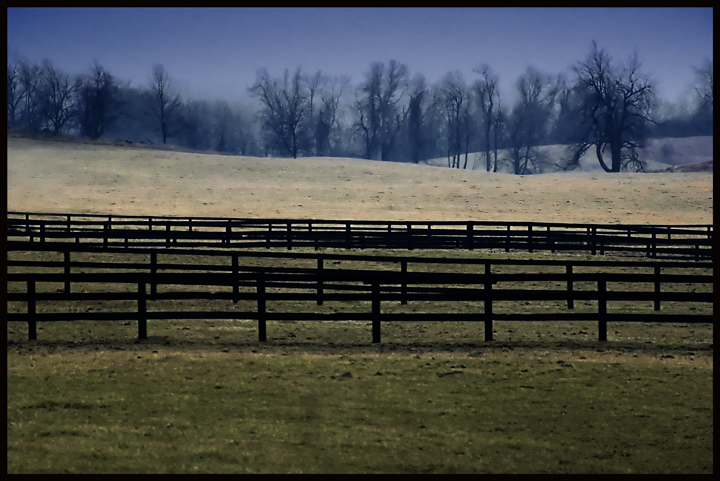 Fences