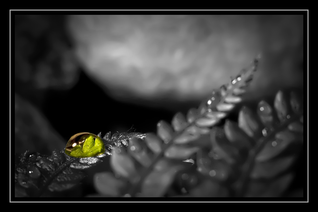 Drop