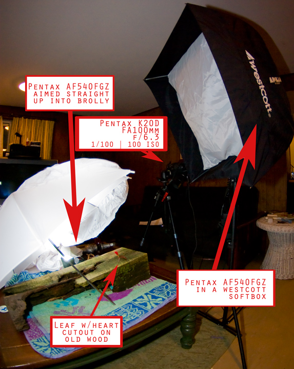 heart-set-up_IGP2560.jpg
