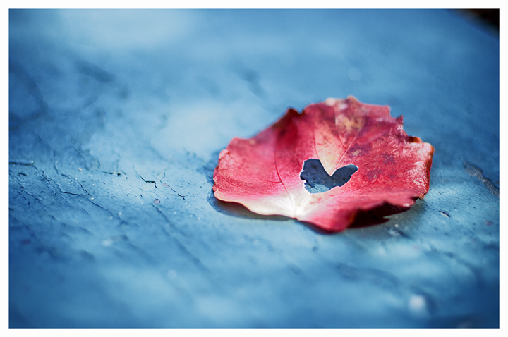 Torn