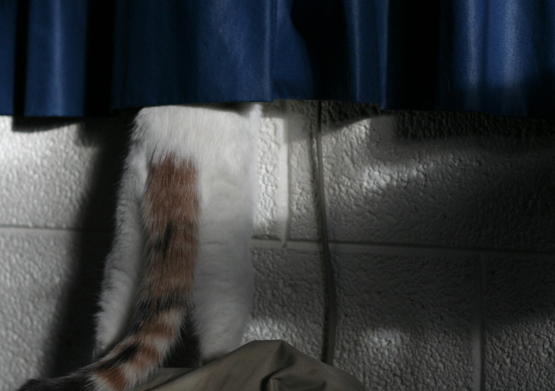 Sookie and her window.