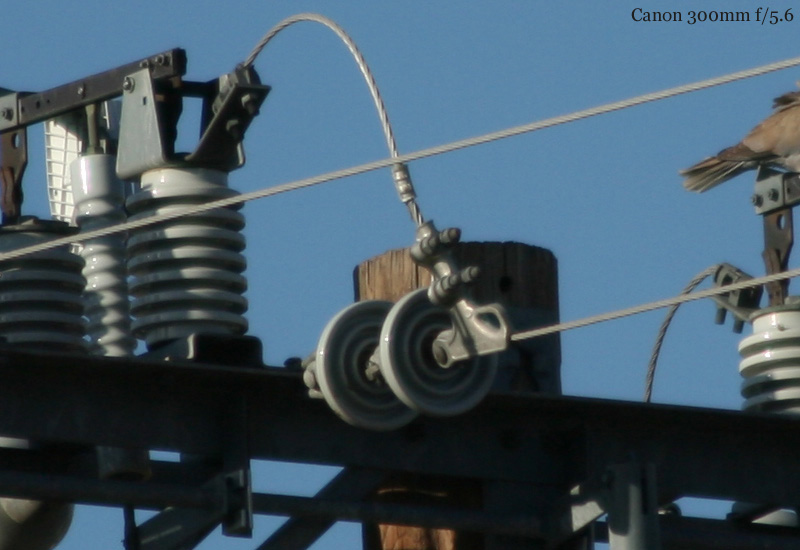 002-Canon_300_f56.jpg
