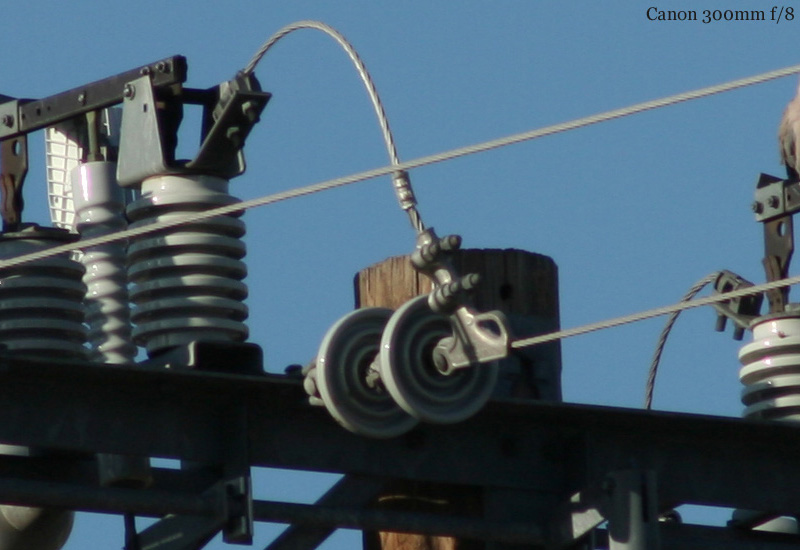 005-Canon_300_f8.jpg