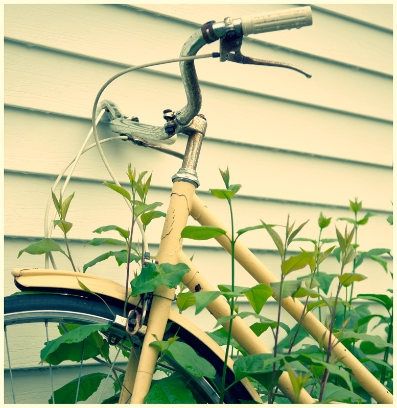 Neglected