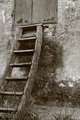 ladder
