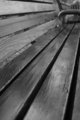 the bench