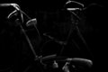 3 bikes
