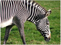 ' . substr('//images.dpchallenge.com/images_portfolio/65000-69999/68035/120/608805.jpg', strrpos('//images.dpchallenge.com/images_portfolio/65000-69999/68035/120/608805.jpg', '/') + 1) . '