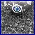Day 20 Chelsea Desat