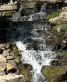 IMG_1961.jpg