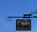 The Bull