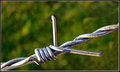 Day 5 - Wabi-Sabi Barbed Wire