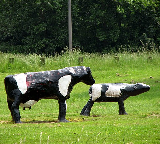 The World Famous Concrete Cows Of Milton Keynes