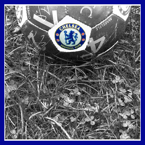 Day 20 Chelsea Desat