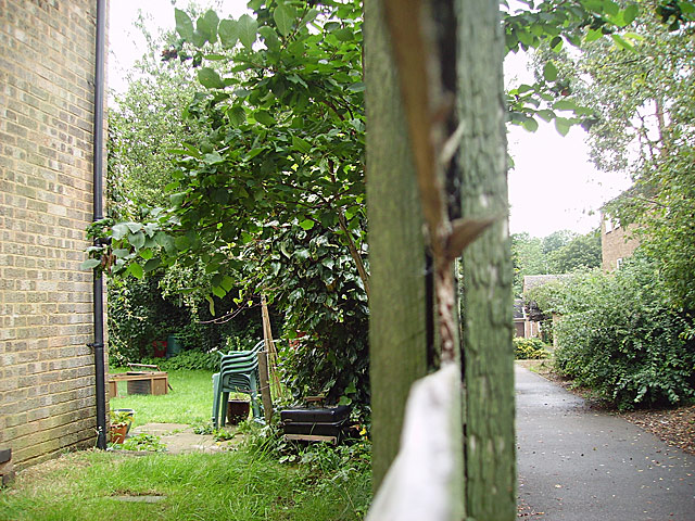 Day 23 - View through the fence