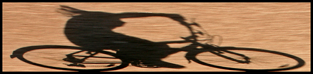 bike2.jpg