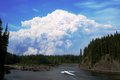 Monster Fire