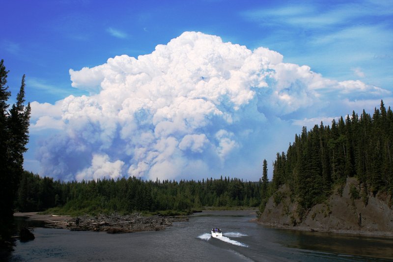 Monster Fire