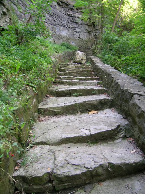 Rock in the Path