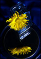 yellow on mirror 001.jpg