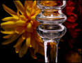 stem and flowers.jpg
