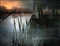 in the misty morning.jpg