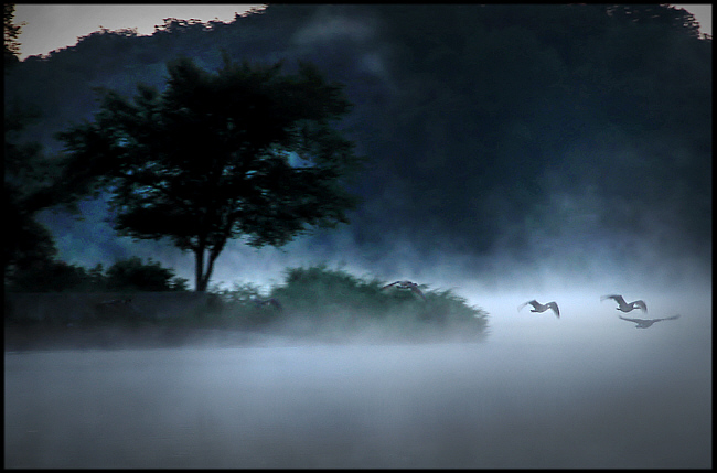 dreamy morn 1.jpg