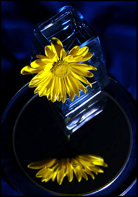 yellow on mirror 001.jpg