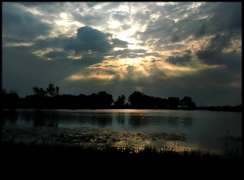 early morning sun 32.jpg