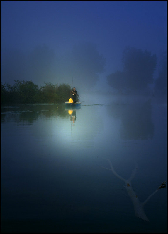 in the misty morning 5.jpg