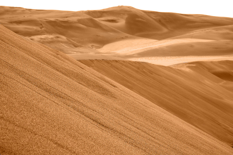 Dune