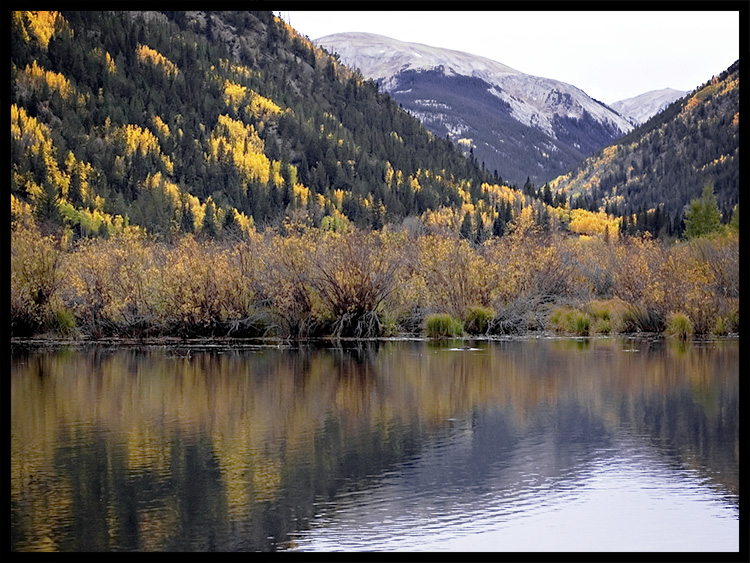 Autumn